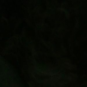 Meet your Posher, Shelby